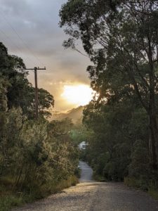 Beccy Howe's Nature Therapy sessions. Location shot. Sunrise path to the forsest.